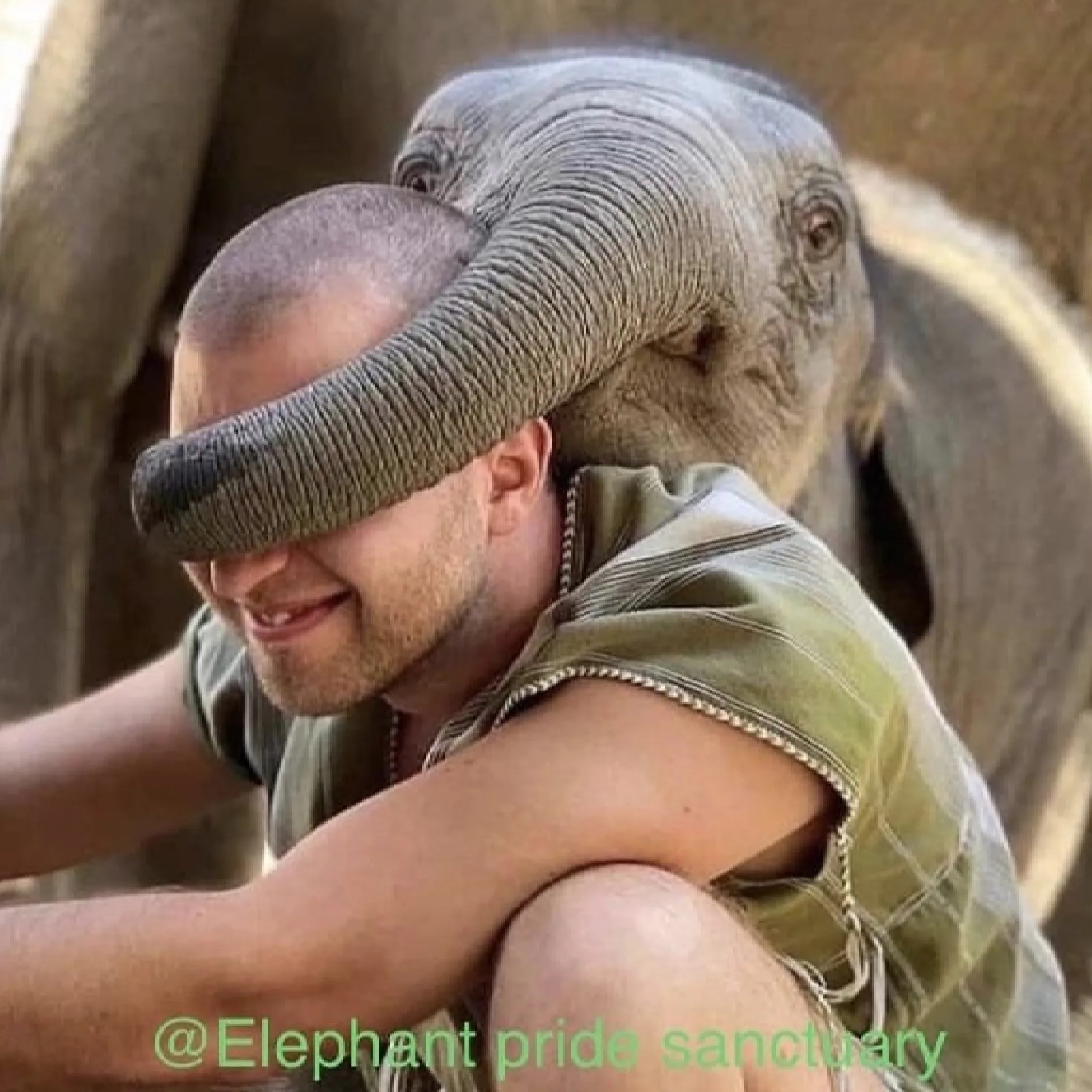 Full-Day Elephant Care Experience by Elephant Pride